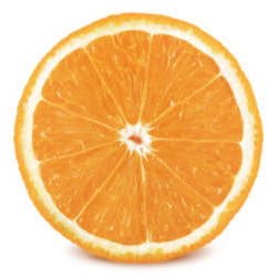 image of orange slice